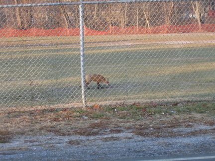 IMG 2760
